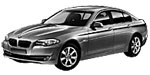 BMW F10 P0A65 Fault Code